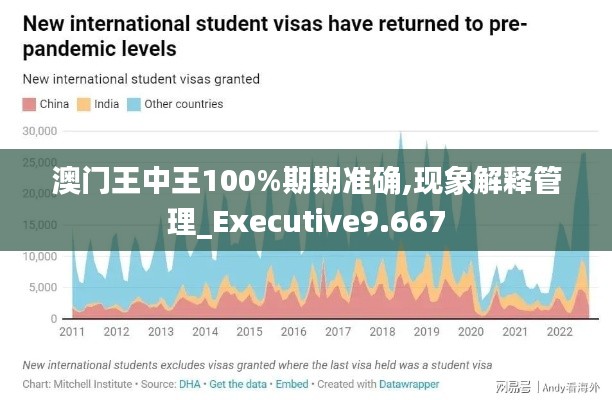 澳门王中王100%期期准确,现象解释管理_Executive9.667