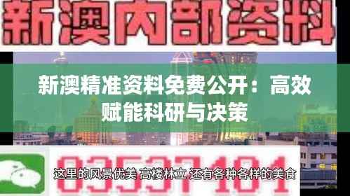 新澳精准资料免费公开:高效赋能科研与决策