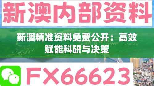 新澳精准资料免费公开：高效赋能科研与决策