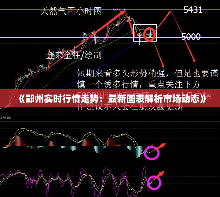 《郢州实时行情走势：最新图表解析市场动态》