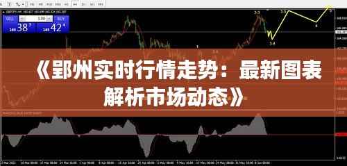 《郢州实时行情走势:最新图表解析市场动态》