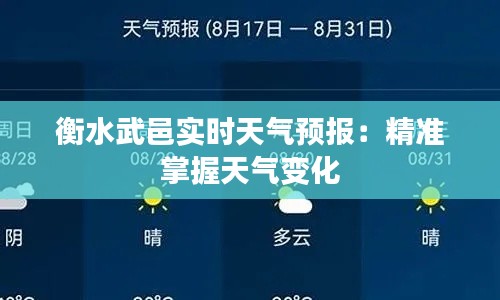 衡水武邑实时天气预报:精准掌握天气变化