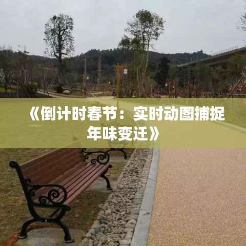《倒计时春节:实时动图捕捉年味变迁》