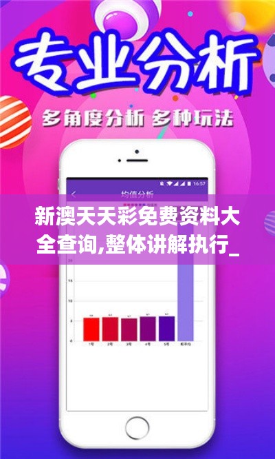 新澳天天彩免费资料大全查询,整体讲解执行_理财版2.210