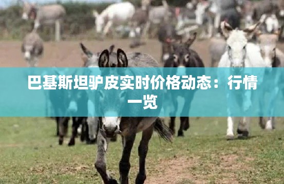 业业兢兢 第6页