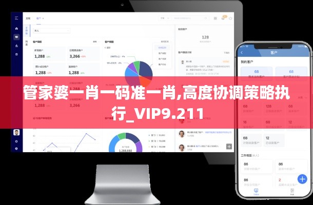 管家婆一肖一码准一肖,高度协调策略执行_VIP9.211
