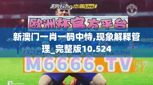 新澳门一肖一码中恃,现象解释管理_完整版10.524