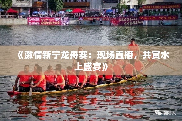 《激情新宁龙舟赛:现场直播,共赏水上盛宴》