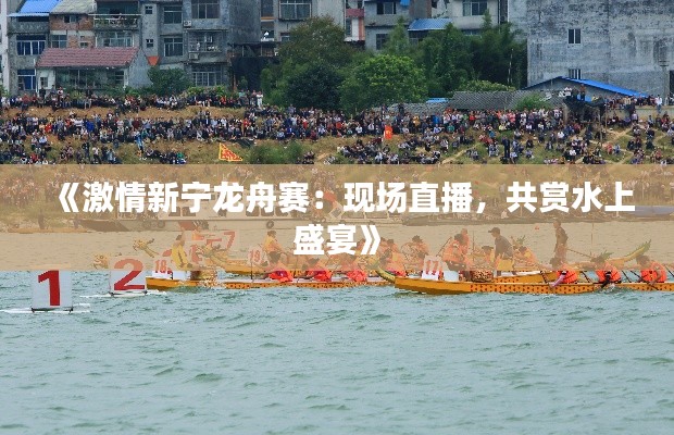 《激情新宁龙舟赛:现场直播,共赏水上盛宴》