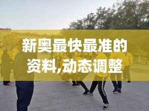 新奥最快最准的资料,动态调整策略执行_WP6.140