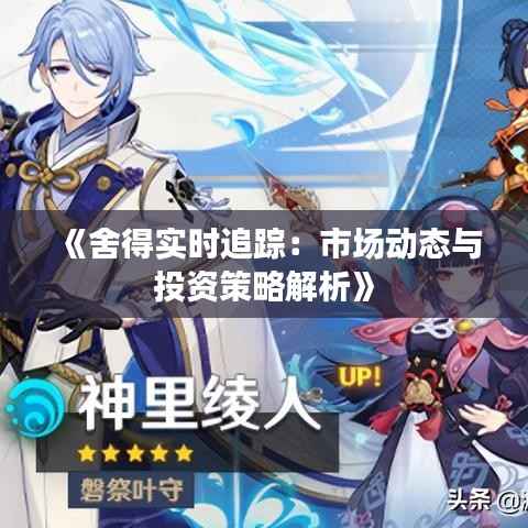 《舍得实时追踪：市场动态与投资策略解析》