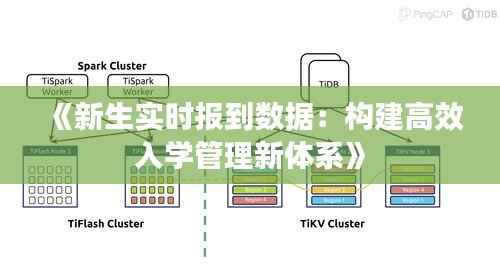 《新生实时报到数据:构建高效入学管理新体系》
