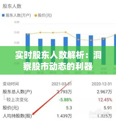实时股东人数解析:洞察股市动态的利器