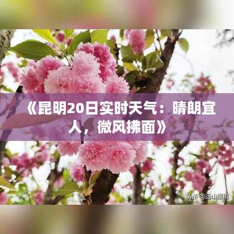 《昆明20日实时天气:晴朗宜人,微风拂面》