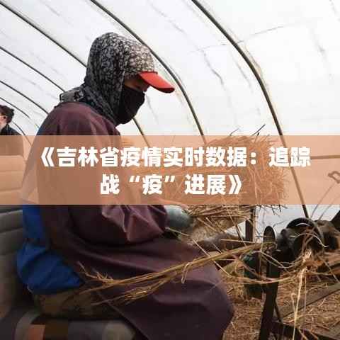 《吉林省疫情实时数据:追踪战“疫”进展》