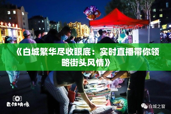 鸟飞兔走 第4页