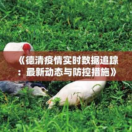 《德清疫情实时数据追踪:最新动态与防控措施》