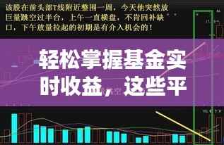 轻松掌握基金实时收益，这些平台不容错过！