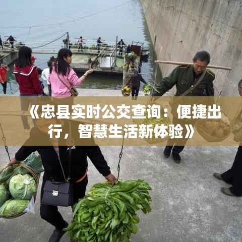 《忠县实时公交查询:便捷出行,智慧生活新体验》