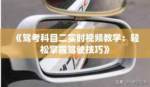 《驾考科目二实时视频教学:轻松掌握驾驶技巧》