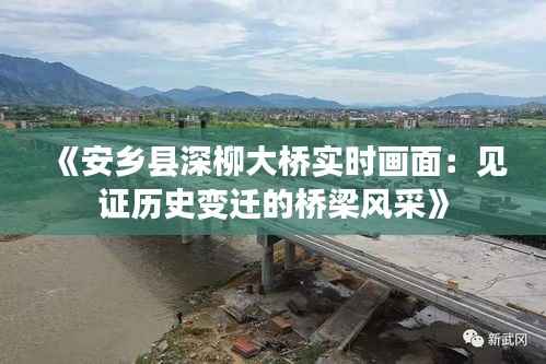 《安乡县深柳大桥实时画面：见证历史变迁的桥梁风采》