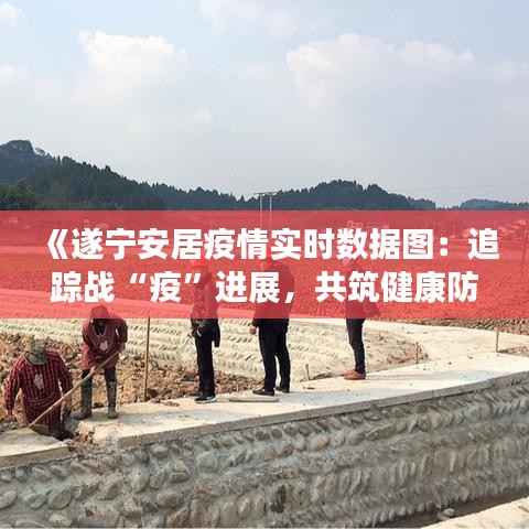 《遂宁安居疫情实时数据图:追踪战“疫”进展,共筑健康防线》