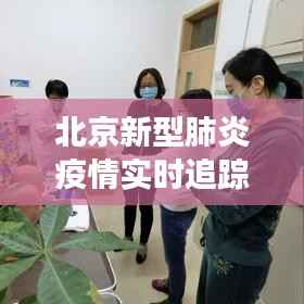 北京新型肺炎疫情实时追踪:防控措施与进展