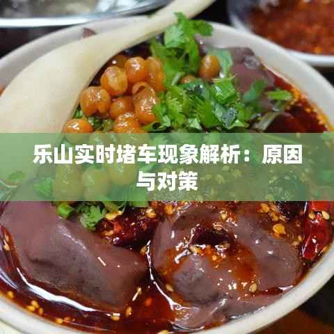 乐山实时堵车现象解析:原因与对策