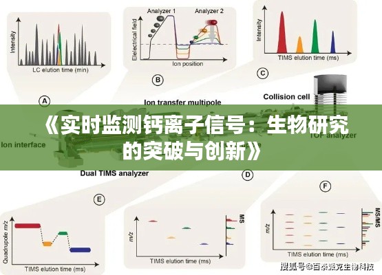 《实时监测钙离子信号：生物研究的突破与创新》