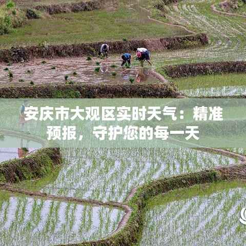 安庆市大观区实时天气：精准预报，守护您的每一天
