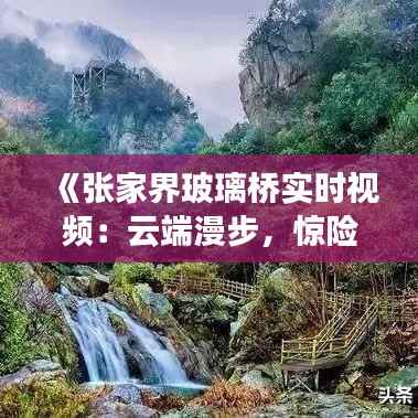 《张家界玻璃桥实时视频:云端漫步,惊险刺激一网打尽》