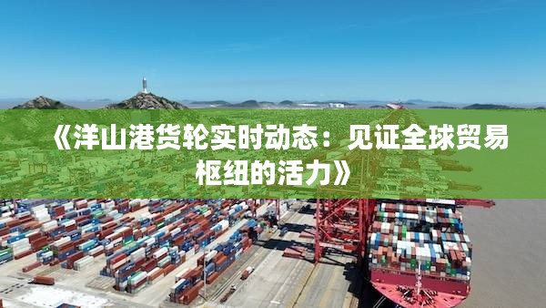 《洋山港货轮实时动态:见证全球贸易枢纽的活力》