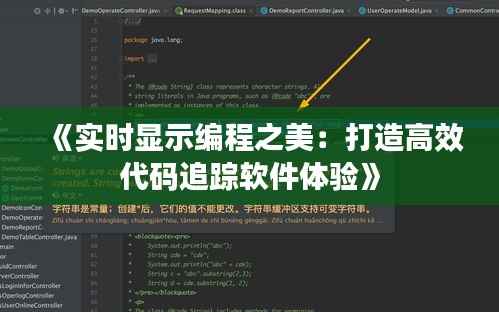 《实时显示编程之美:打造高效代码追踪软件体验》