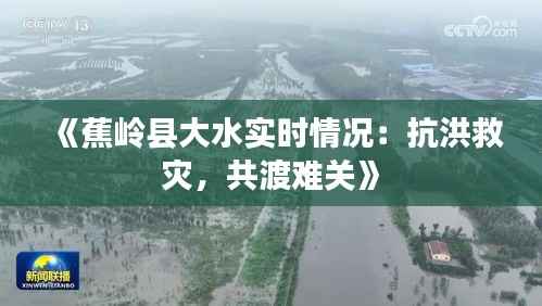 《蕉岭县大水实时情况：抗洪救灾，共渡难关》
