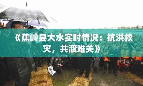 《蕉岭县大水实时情况:抗洪救灾,共渡难关》