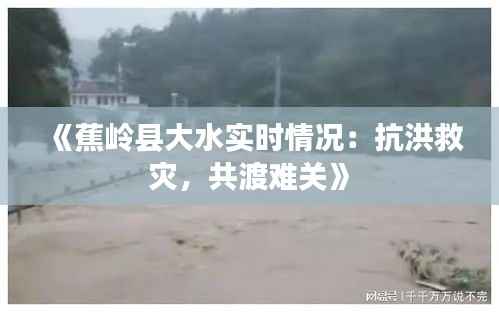 《蕉岭县大水实时情况:抗洪救灾,共渡难关》