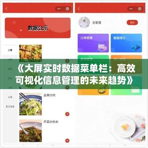 《大屏实时数据菜单栏：高效可视化信息管理的未来趋势》
