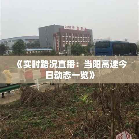 《实时路况直播:当阳高速今日动态一览》