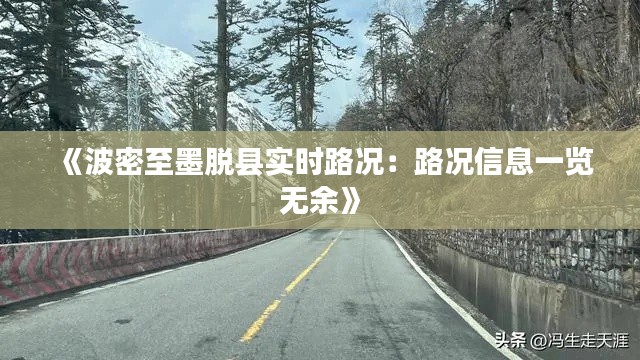 《波密至墨脱县实时路况:路况信息一览无余》