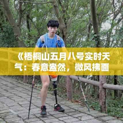 《梧桐山五月八号实时天气:春意盎然,微风拂面》