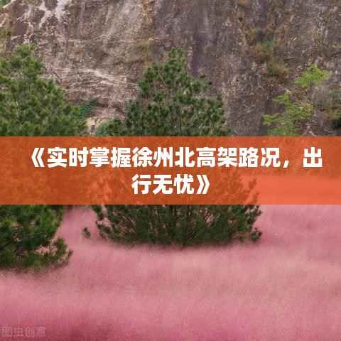 《实时掌握徐州北高架路况，出行无忧》