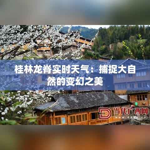 桂林龙脊实时天气:捕捉大自然的变幻之美