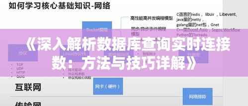 《深入解析数据库查询实时连接数:方法与技巧详解》