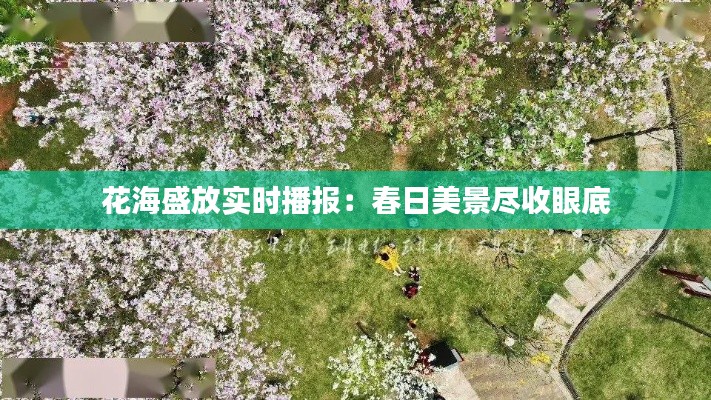 还朴反古 第7页