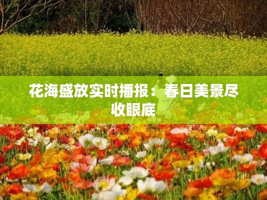 花海盛放实时播报:春日美景尽收眼底