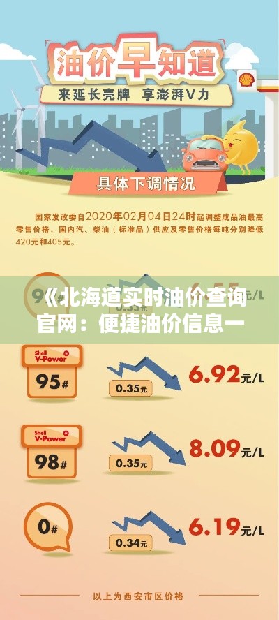 《北海道实时油价查询官网:便捷油价信息一手掌握》