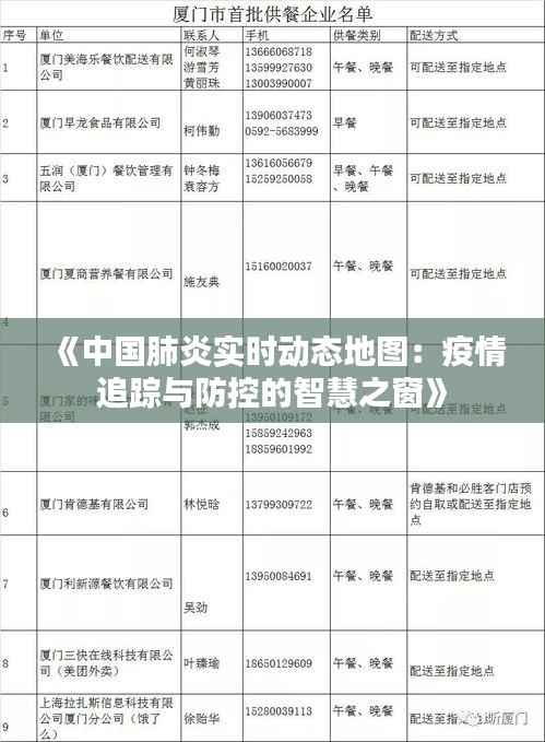 《中国肺炎实时动态地图：疫情追踪与防控的智慧之窗》