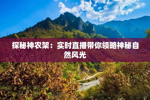 探秘神农架：实时直播带你领略神秘自然风光