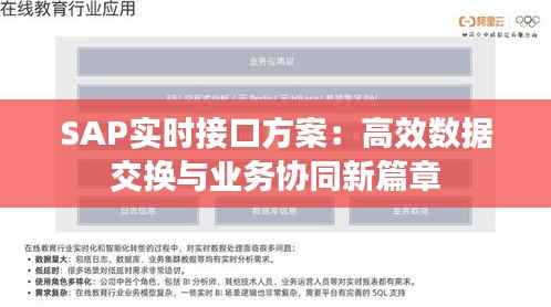 SAP实时接口方案:高效数据交换与业务协同新篇章