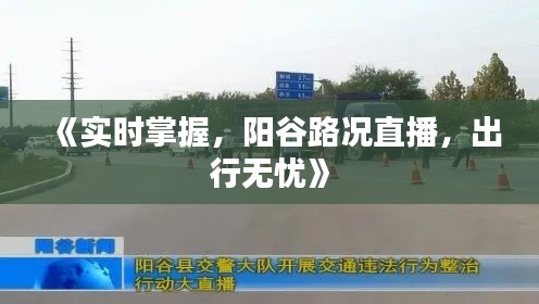 《实时掌握,阳谷路况直播,出行无忧》